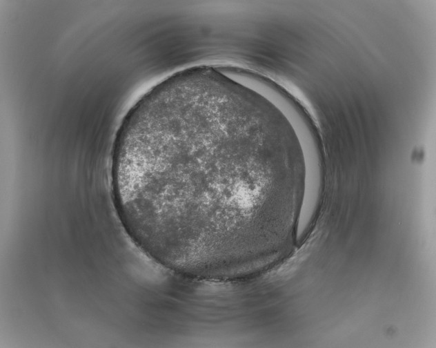 X0000090620935200708141410