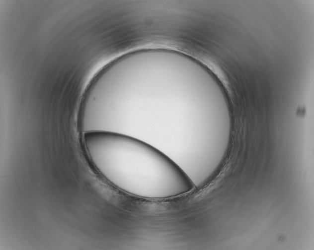 X0000090620936200708141410