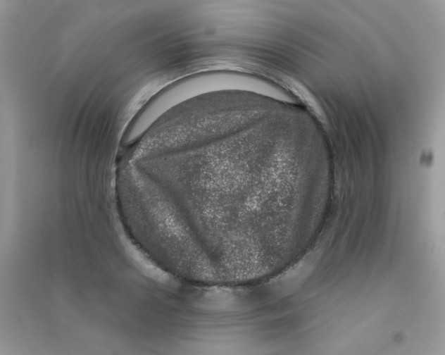 X0000090620938200708141410