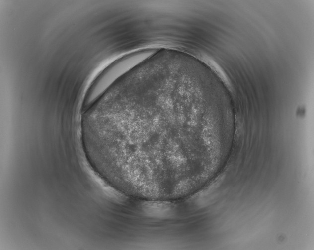 X0000090620939200708141410