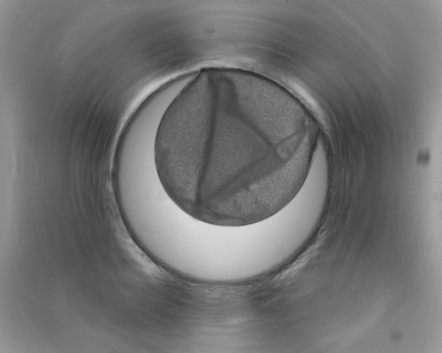 X0000090620940200708141410