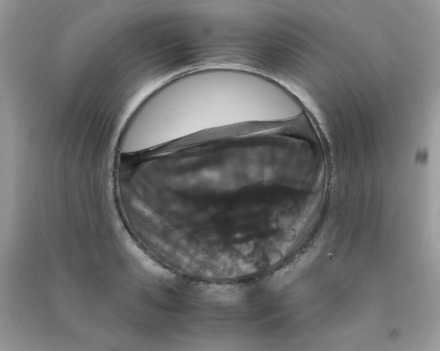 X0000090620941200708141410