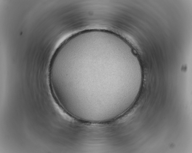 X0000090620942200708141410