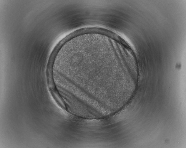 X0000090620943200708141410