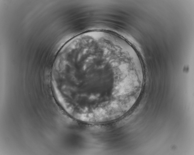 X0000090620945200708141410