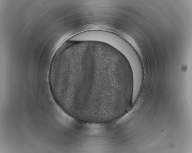 X0000090620946200708141410