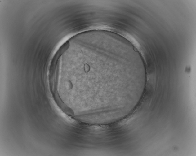 X0000090620947200708141410