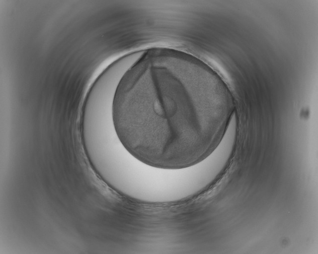 X0000090620948200708141410