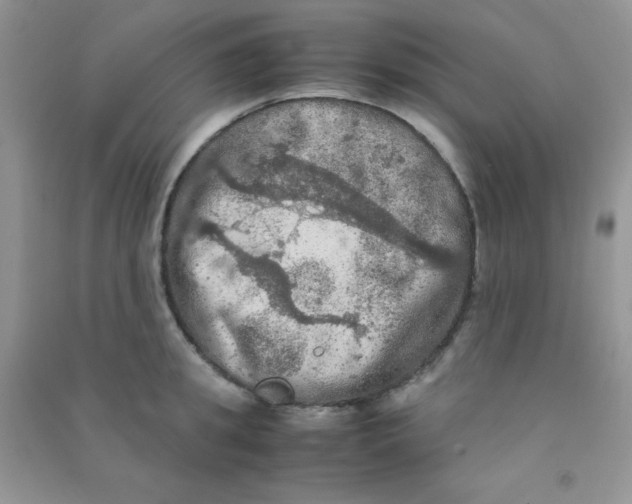 X0000090620949200708141410