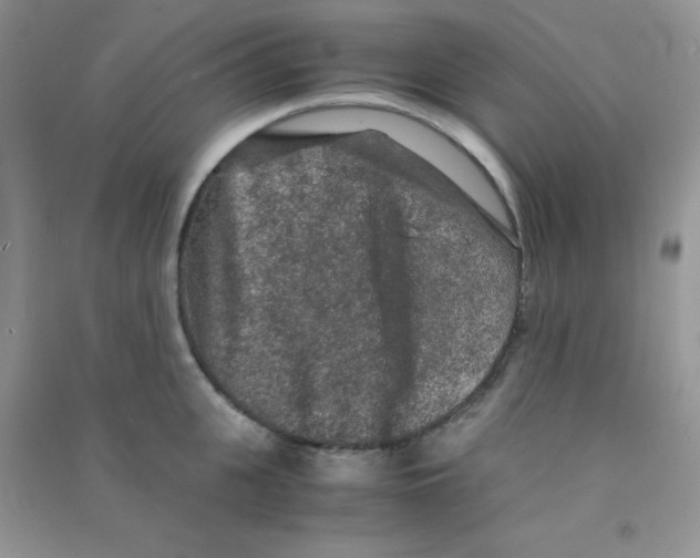 X0000090620951200708141410