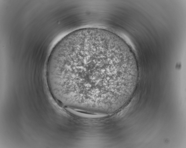 X0000090620952200708141410