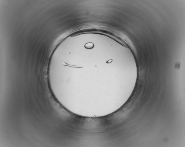 X0000090620954200708141410