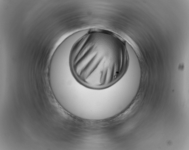 X0000090620956200708141410