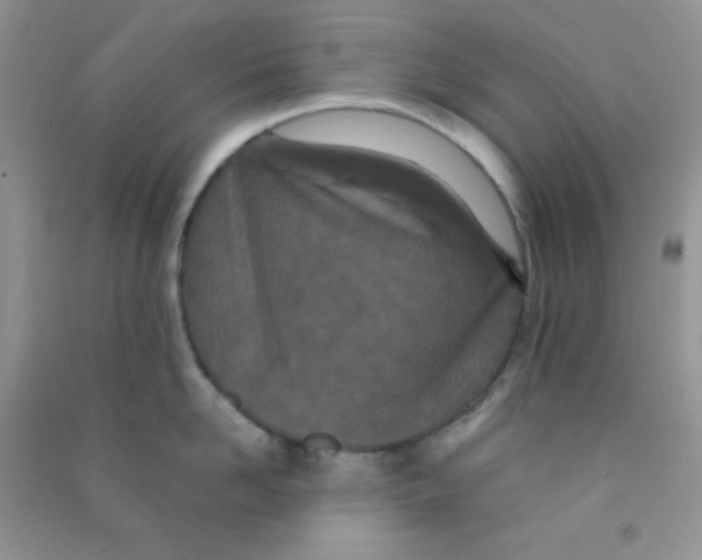 X0000090620958200708141410