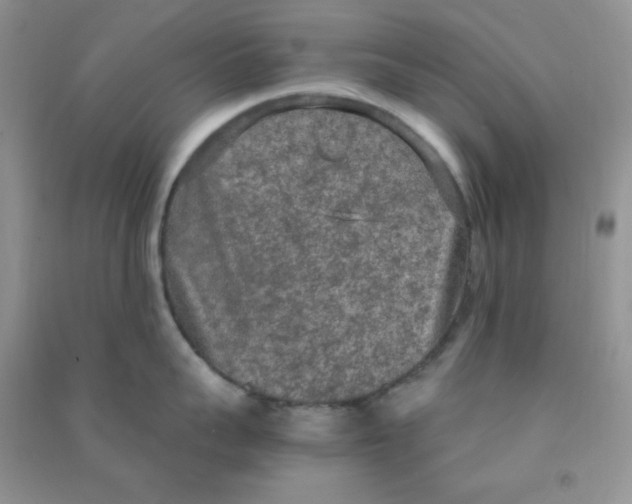 X0000090620959200708141410