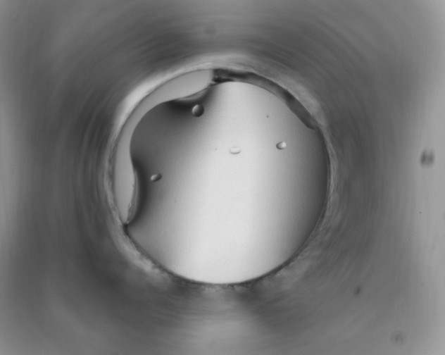 X0000090620960200708141410