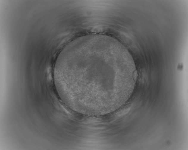 X0000090620962200708141409