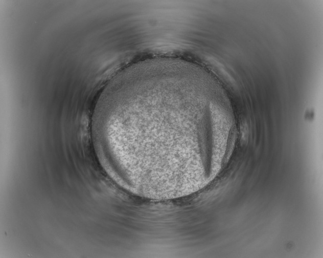 X0000090620964200708141409