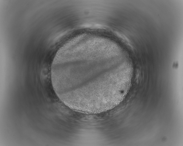 X0000090620966200708141409