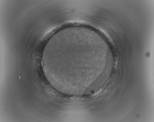 X0000090620967200708141409