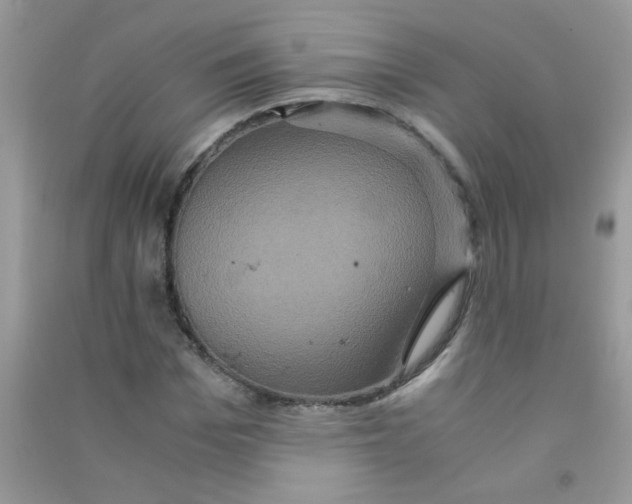 X0000090620969200708141409