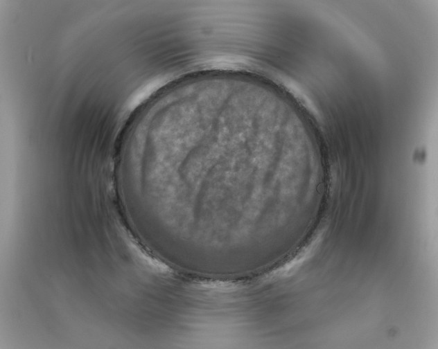 X0000090620970200708141409