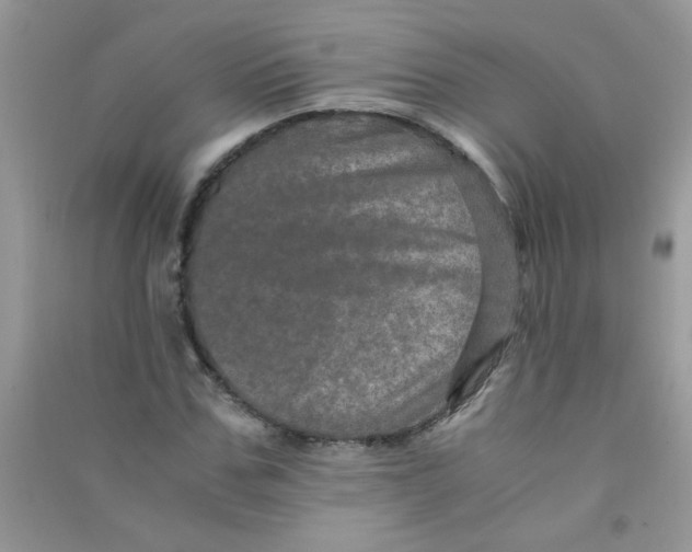 X0000090620971200708141409