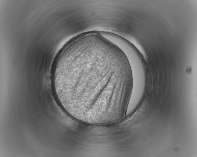 X0000090620972200708141409