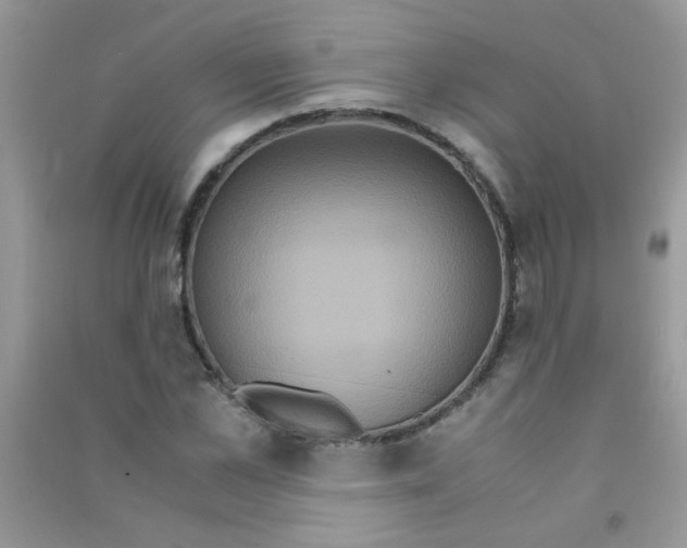 X0000090620973200708141409