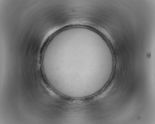 X0000090620974200708141409