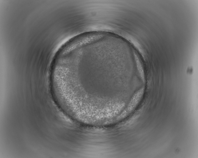 X0000090620975200708141409