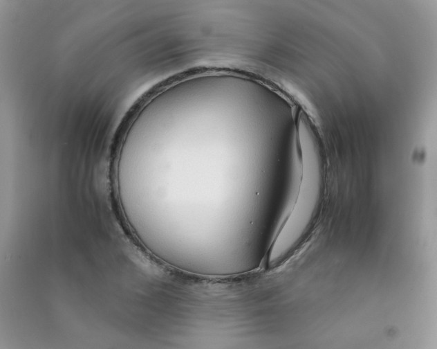 X0000090620976200708141409