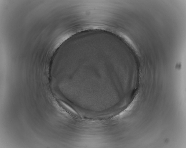 X0000090620977200708141409