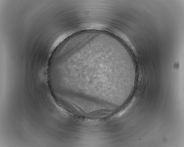 X0000090620978200708141409