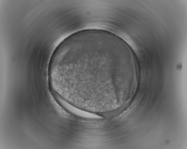 X0000090620980200708141409