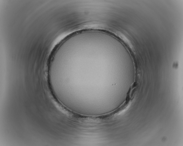 X0000090620981200708141409