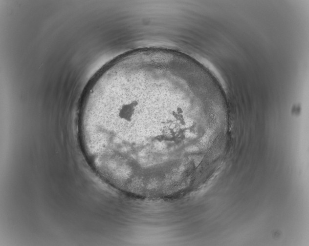 X0000090620983200708141409