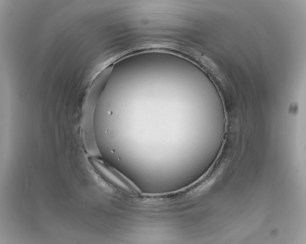 X0000090620985200708141409