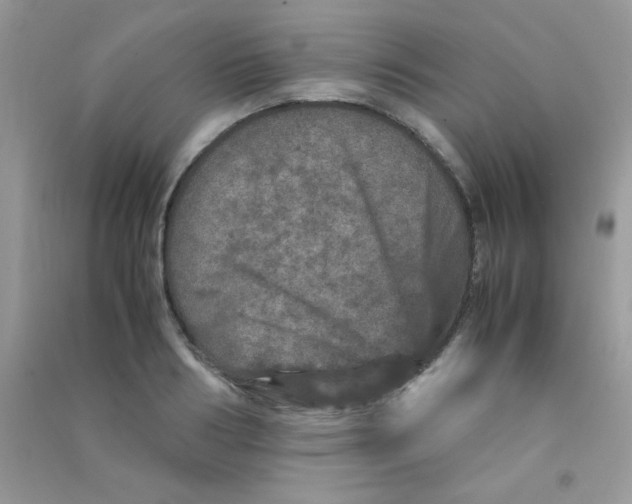 X0000090620986200708141409