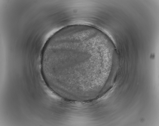 X0000090620987200708141409