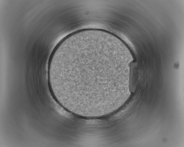 X0000090620988200708141409