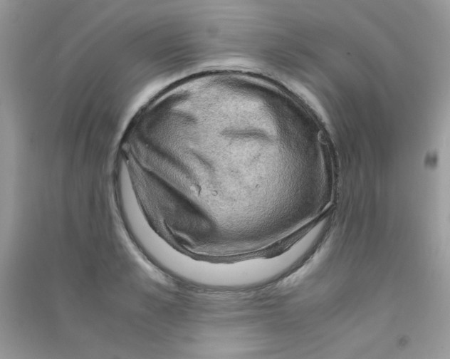 X0000090620989200708141409