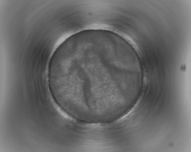 X0000090620990200708141409