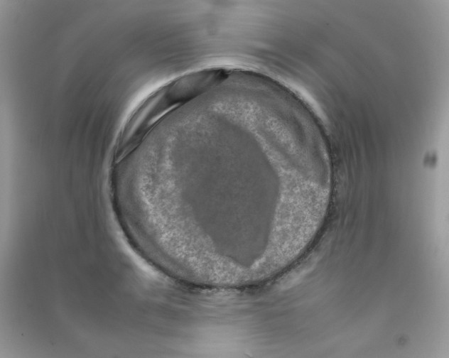 X0000090620991200708141409