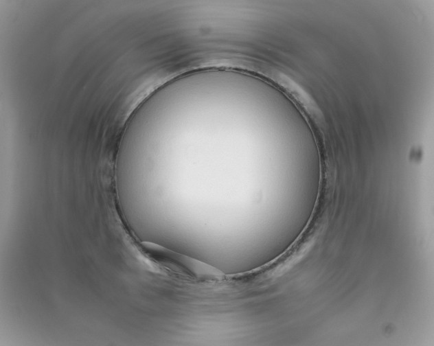 X0000090620993200708141409