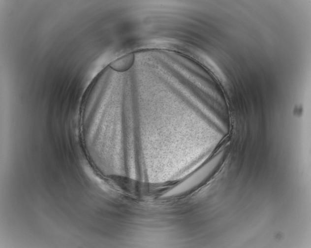 X0000090620994200708141409