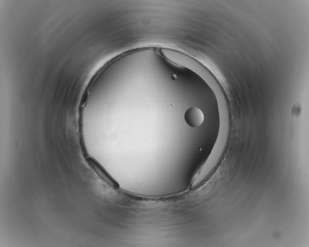 X0000090620996200708141409