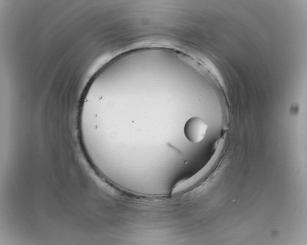 X0000090620997200708141409