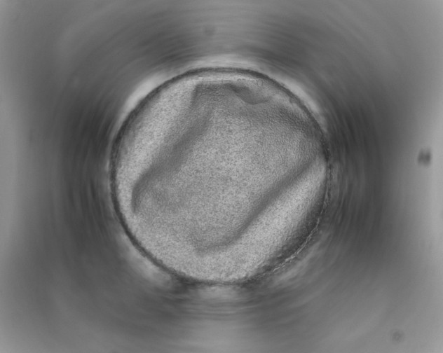 X0000090620998200708141409