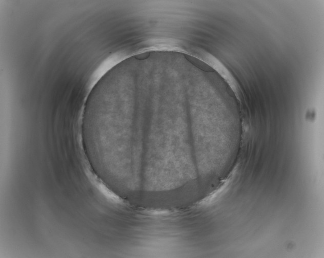 X0000090621002200708141409